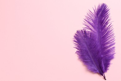 Photo of Beautiful violet feathers on pink background, top view. Space for text