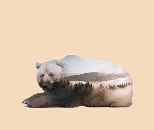 Image of Double exposure of furry bear and foggy forest in mountains