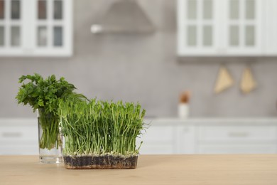 Photo of Beautiful potted microgreen and glass with herbs on table in kitchen, space for text