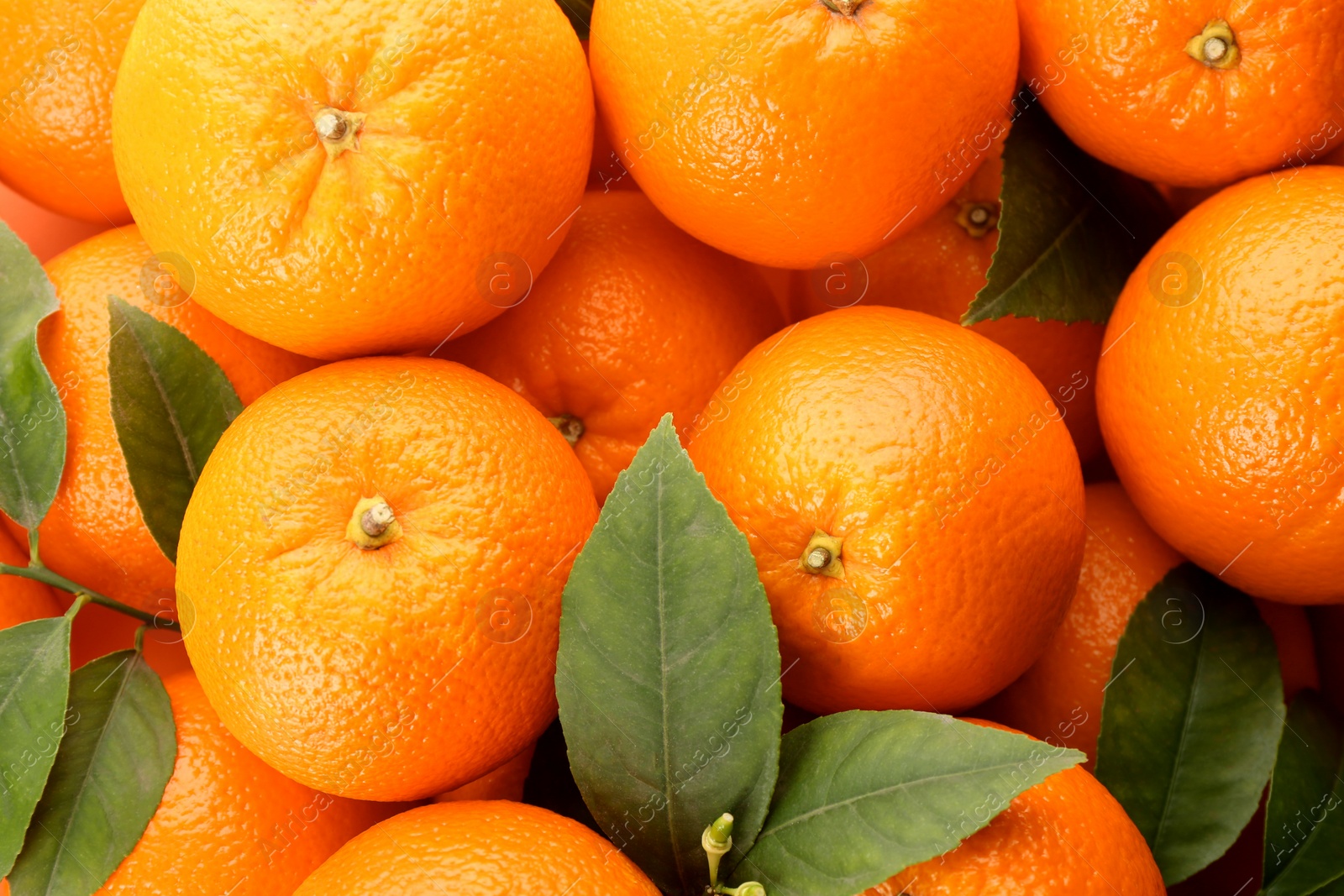 Photo of Fresh ripe oranges with green leaves as background, top view