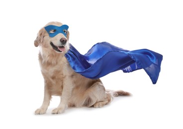 Photo of Adorable dog in blue superhero cape and mask on white background