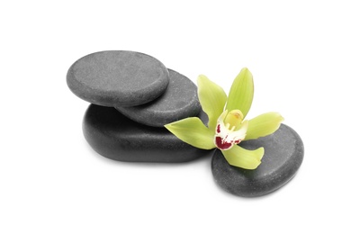 Photo of Beautiful orchid flower and spa stones on white background