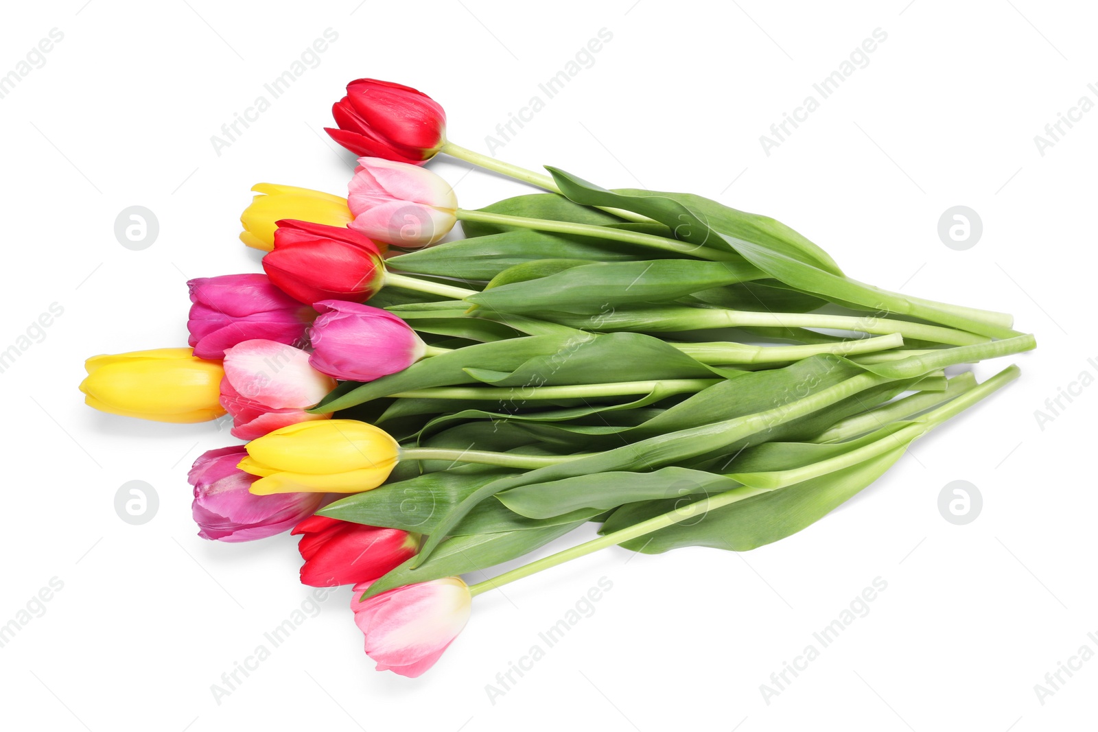 Photo of Beautiful colorful tulips on white background, top view