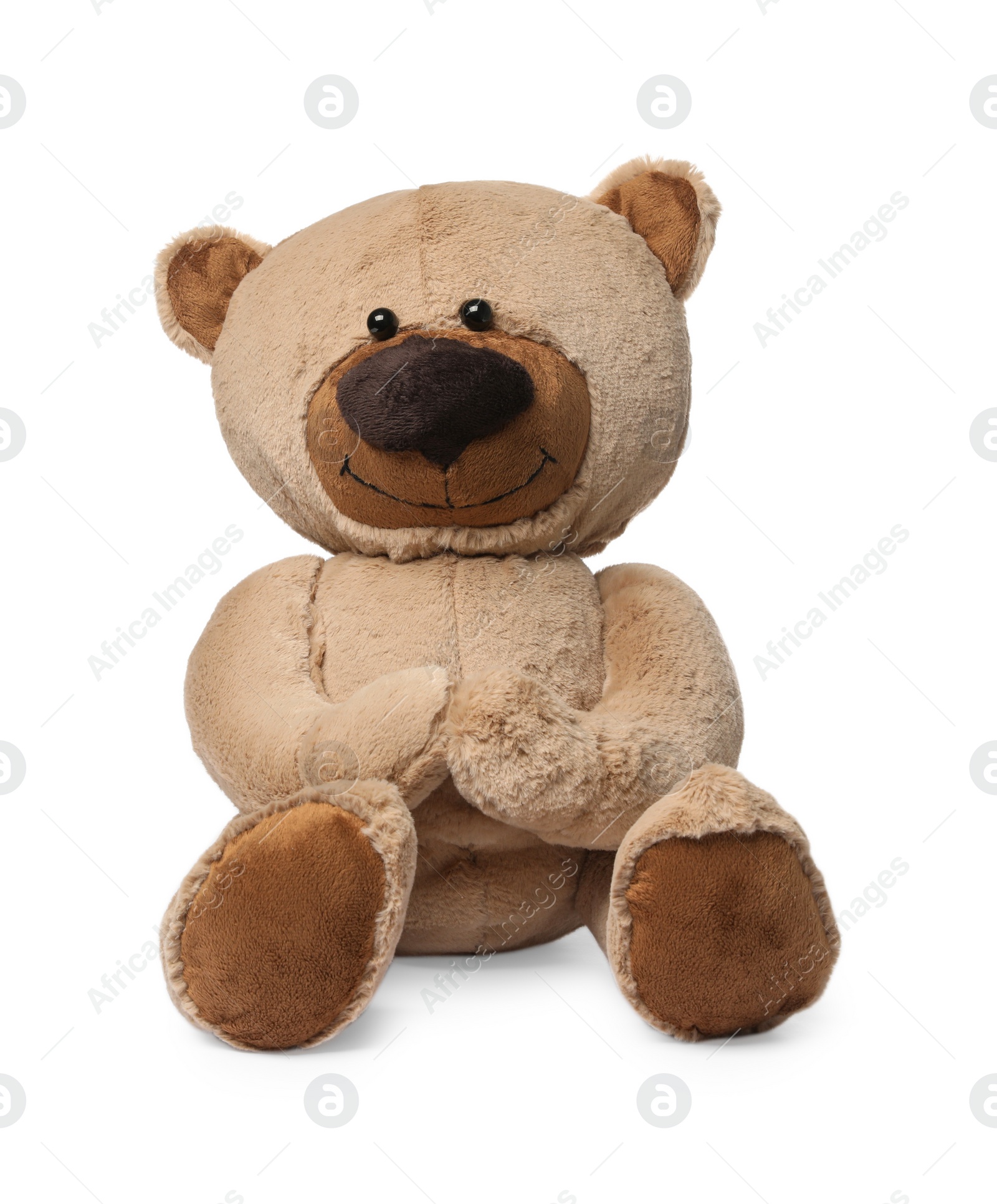 Photo of Cute teddy bear isolated on white. Child`s toy