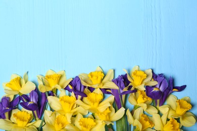 Photo of Beautiful yellow daffodils and iris flowers on light blue wooden table, flat lay. Space for text