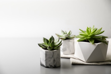 Photo of Beautiful potted succulents on light grey table