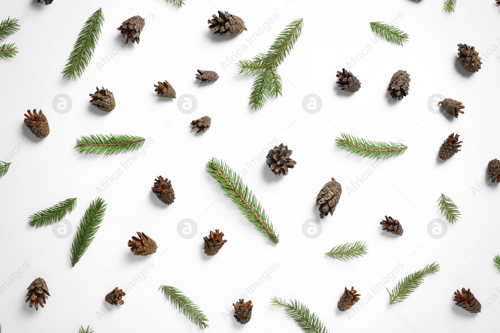 Photo of Flat lay composition with pinecones and fir branches on white background