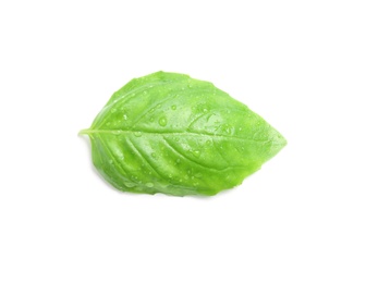 Photo of Fresh green basil leaf on white background