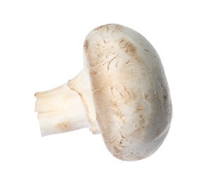 Fresh champignon mushroom isolated on white. Healthy food