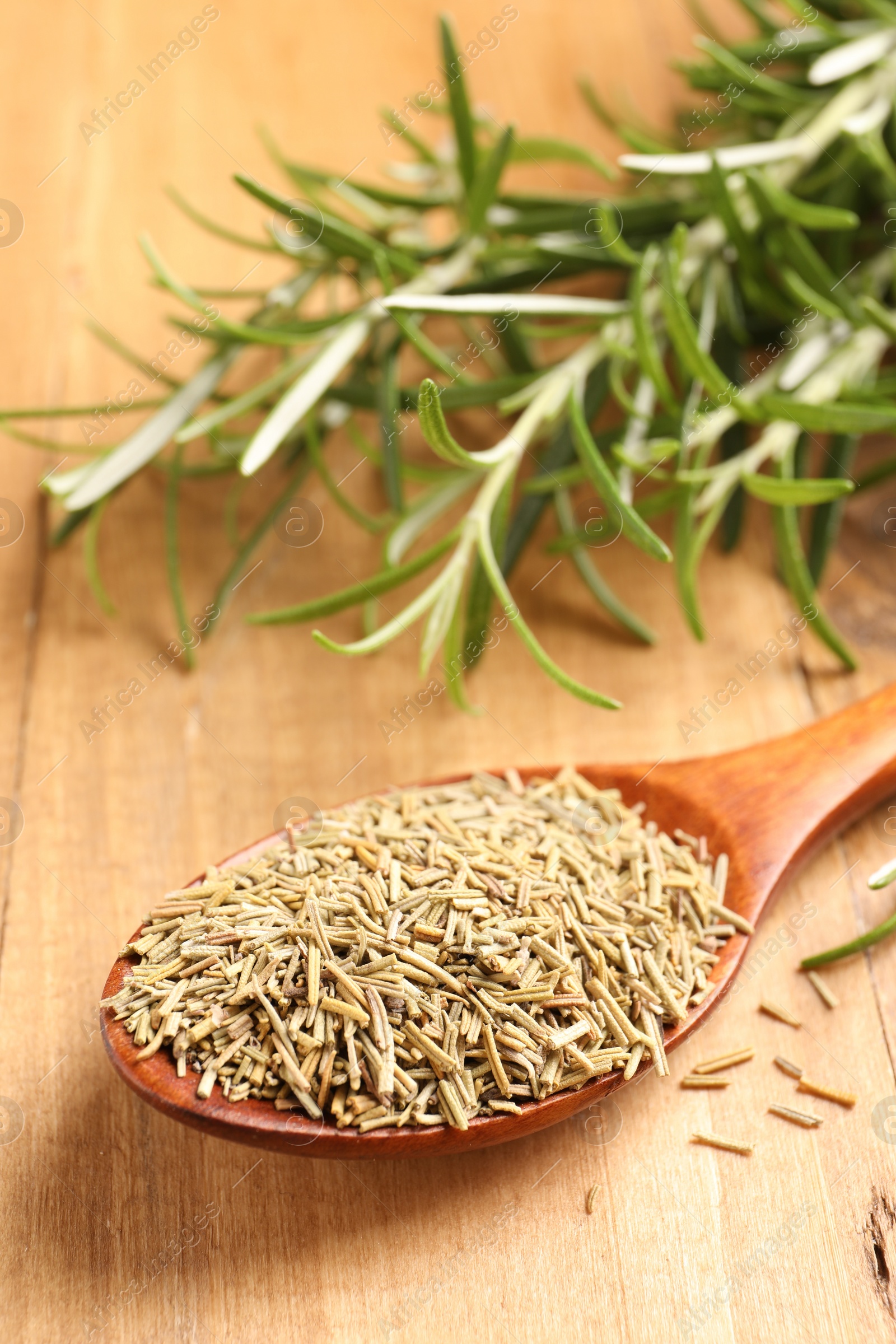 Photo of Spoon with dry rosemary on wooden table, closeup