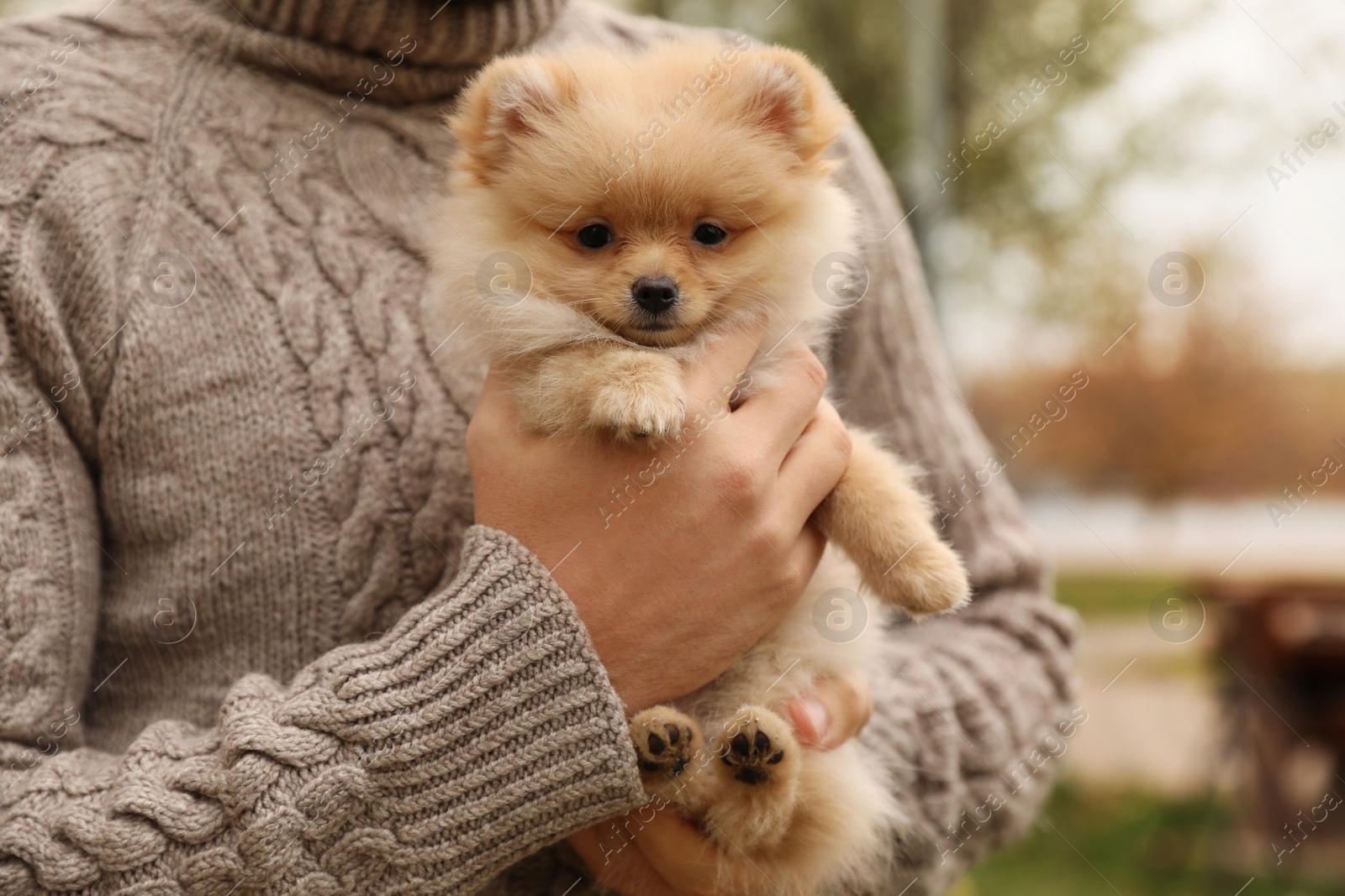 Photo of Man with small fluffy dog outdoors on autumn day, closeup