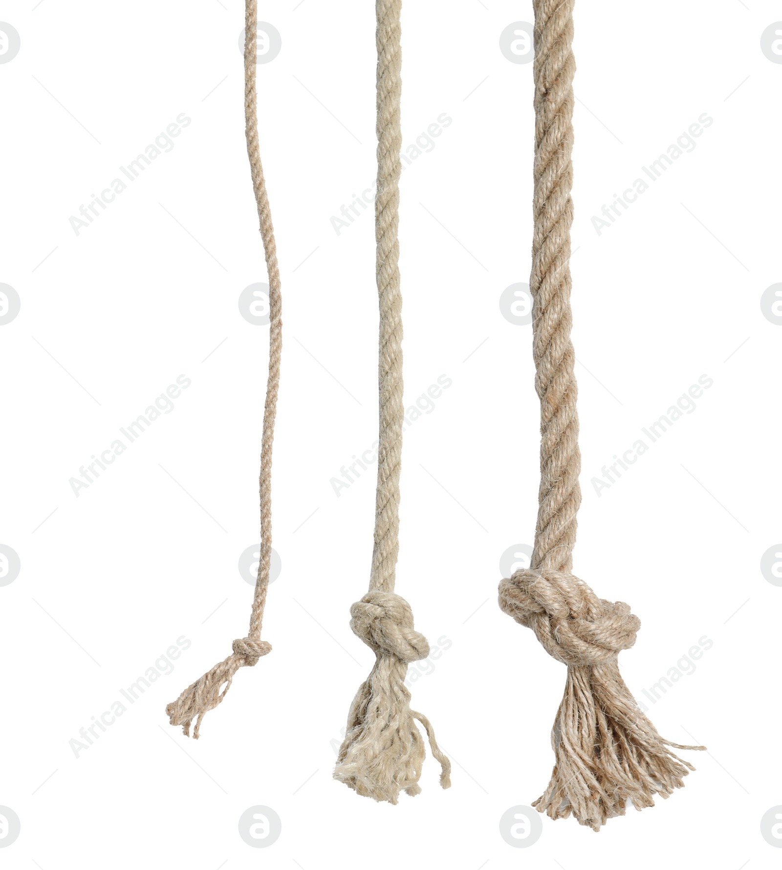 Photo of Different cotton ropes with knots on white background