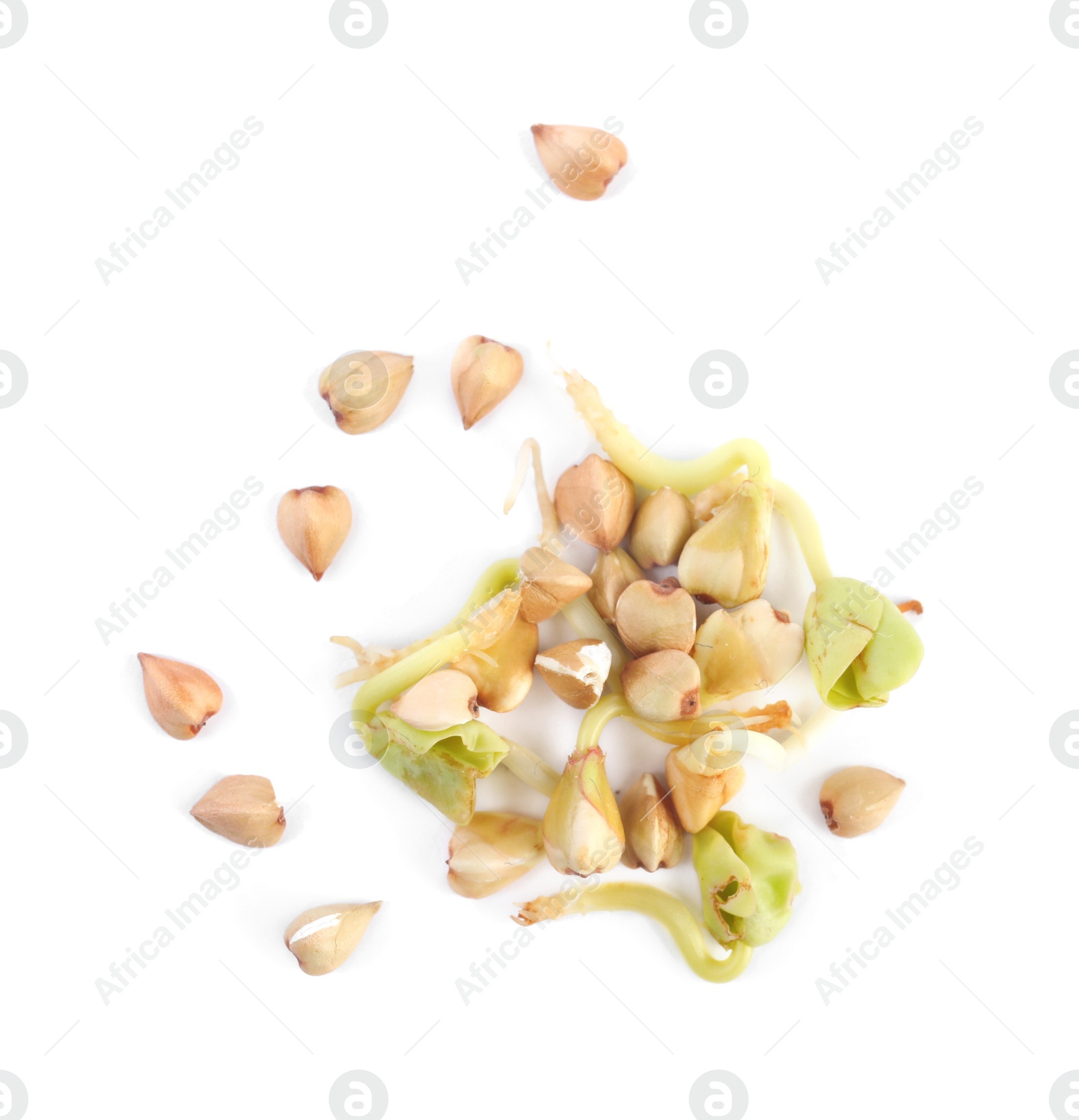 Photo of Sprouted green buckwheat grains isolated on white, top view