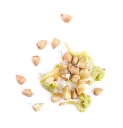 Sprouted green buckwheat grains isolated on white, top view