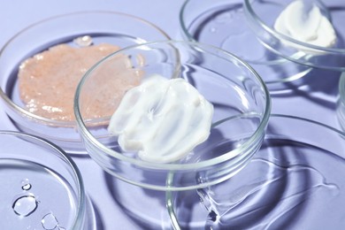 Photo of Many petri dishes with samples on lilac background, closeup