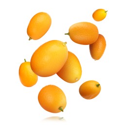 Image of Delicious fresh kumquats falling on white background