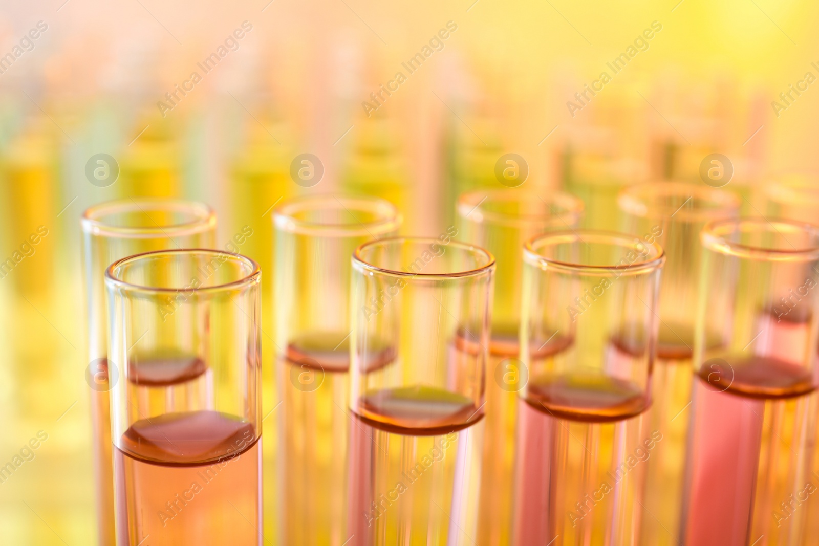 Photo of Closeup view of many test tubes with liquid, color tone effect