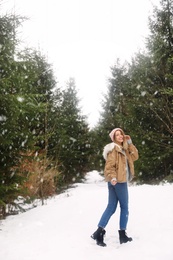 Photo of Young woman in snowy conifer forest. Winter vacation