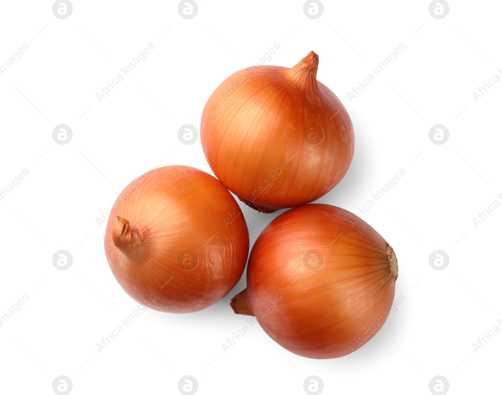 Photo of Fresh onions on white background, top view