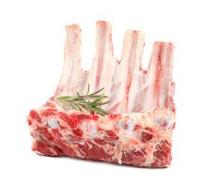 Raw ribs with rosemary on white background