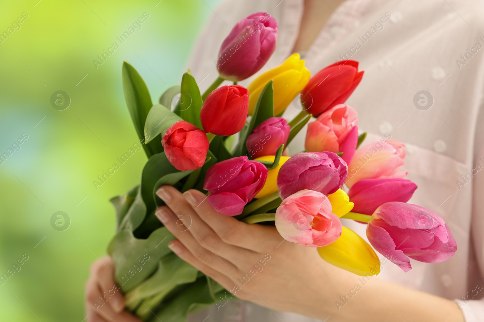 Photo of Woman holding beautiful colorful tulip flowers on blurred background, closeup