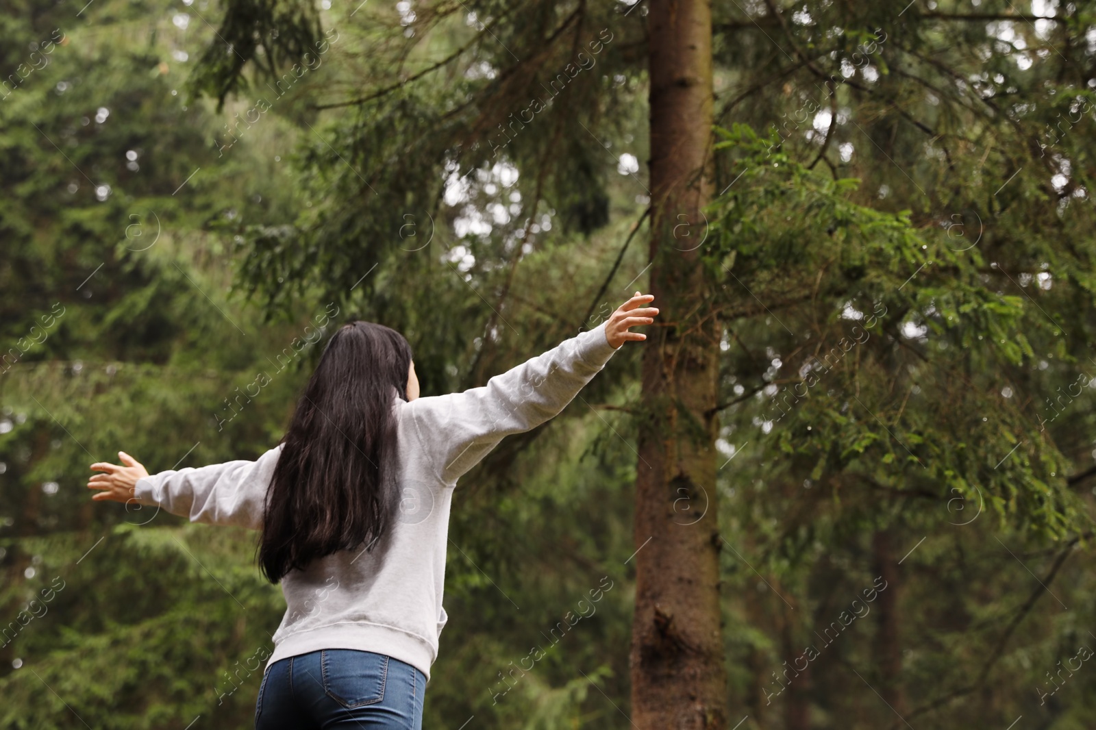 Photo of Woman on walk in beautiful coniferous forest