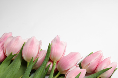 Photo of Beautiful pink spring tulips on white background, closeup