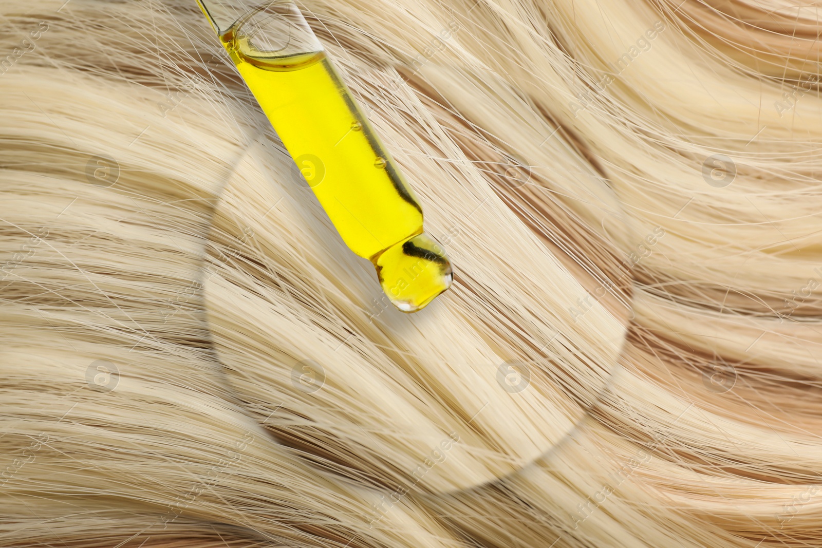 Image of Dripping cosmetic oil from pipette onto blonde hair in zoomed area