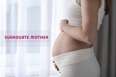 Image of Surrogate mother. Pregnant woman near window indoors, closeup