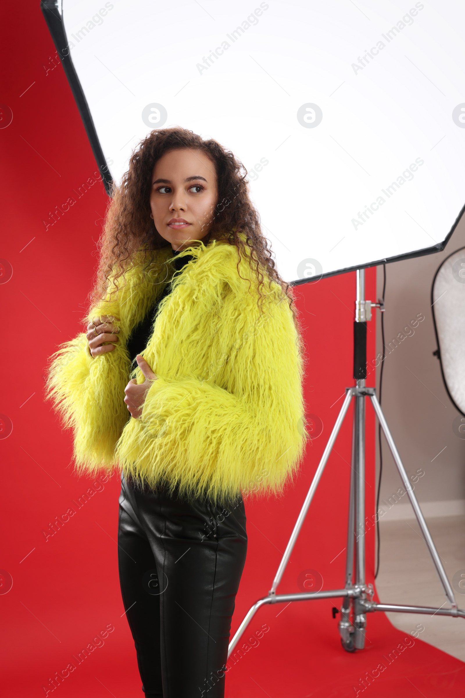 Photo of Beautiful African American model posing in studio. Professional photo session