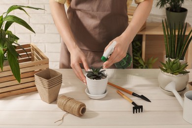 Woman spraying beautiful succulent plant with water at white wooden table, closeup