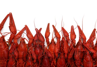 Delicious red boiled crayfish on white background, top view