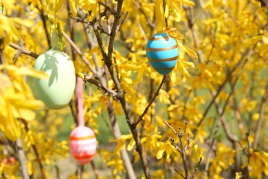 Photo of Beautifully painted Easter eggs hanging on tree outdoors, closeup and space for text