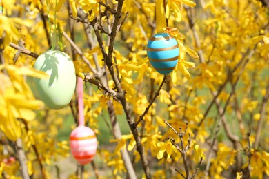 Beautifully painted Easter eggs hanging on tree outdoors, closeup and space for text