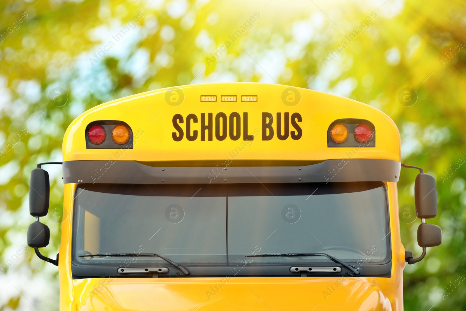 Image of Yellow school bus outdoors, closeup. Transport for students