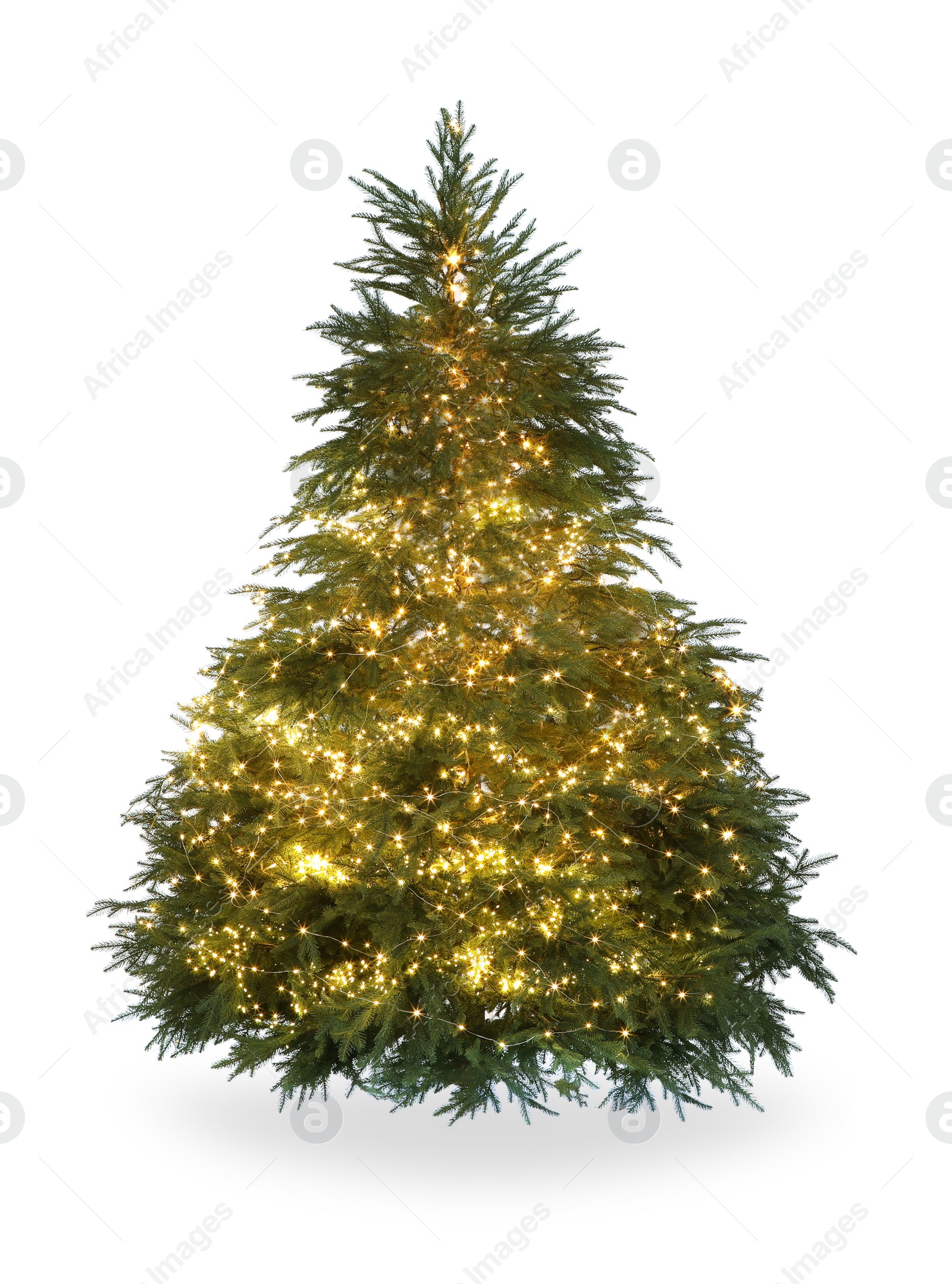 Photo of Beautiful Christmas tree decorated with festive lights isolated on white