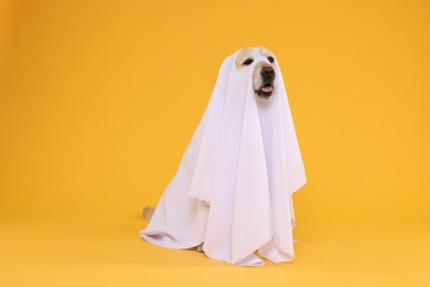 Photo of Cute Labrador Retriever dog wearing ghost costume on orange background. Halloween celebration