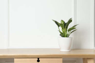 Beautiful philodendron plant in pot on wooden table indoors, space for text. House decor