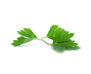 Photo of Fresh green parsley on white background