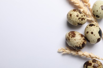 Photo of Speckled quail eggs and spikelets on white background, flat lay. Space for text