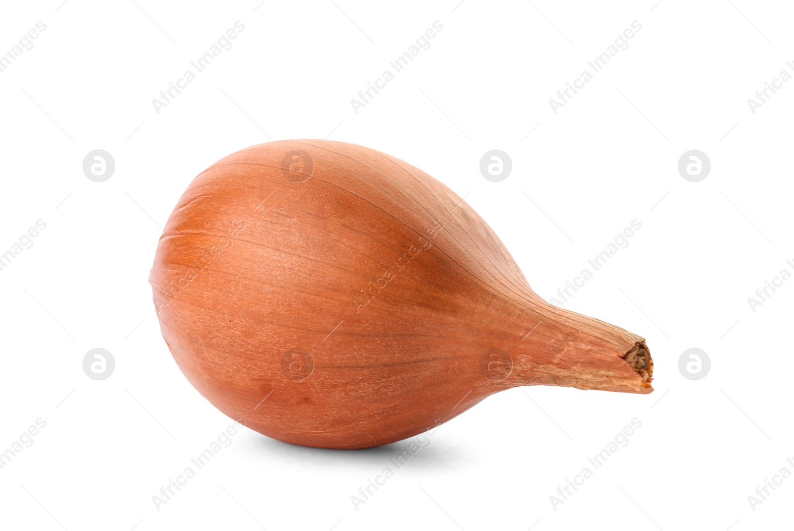 Photo of Fresh ripe onion on white background