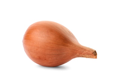 Photo of Fresh ripe onion on white background