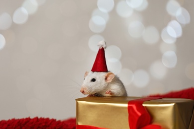 Cute little rat with Santa hat and gift box on fluffy blanket against blurred lights. Chinese New Year symbol