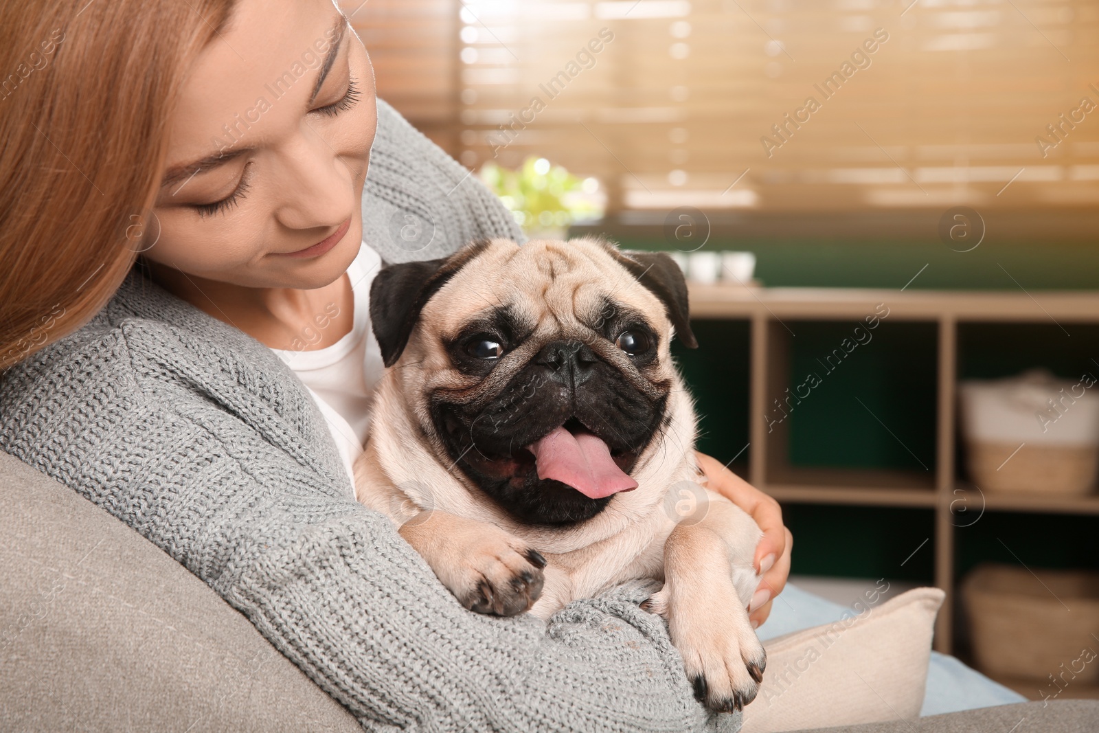 Photo of Woman with cute pug dog at home. Animal adoption