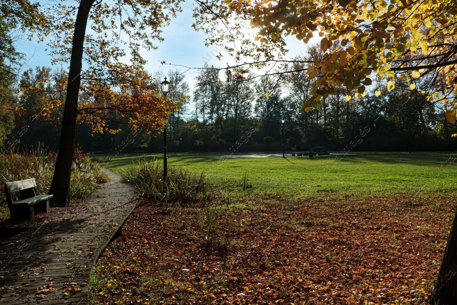 Photo of Picturesque view of park with beautiful trees, bench and pathway on sunny day. Autumn season