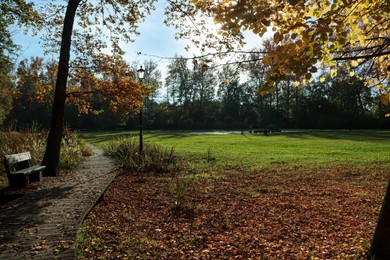 Picturesque view of park with beautiful trees, bench and pathway on sunny day. Autumn season