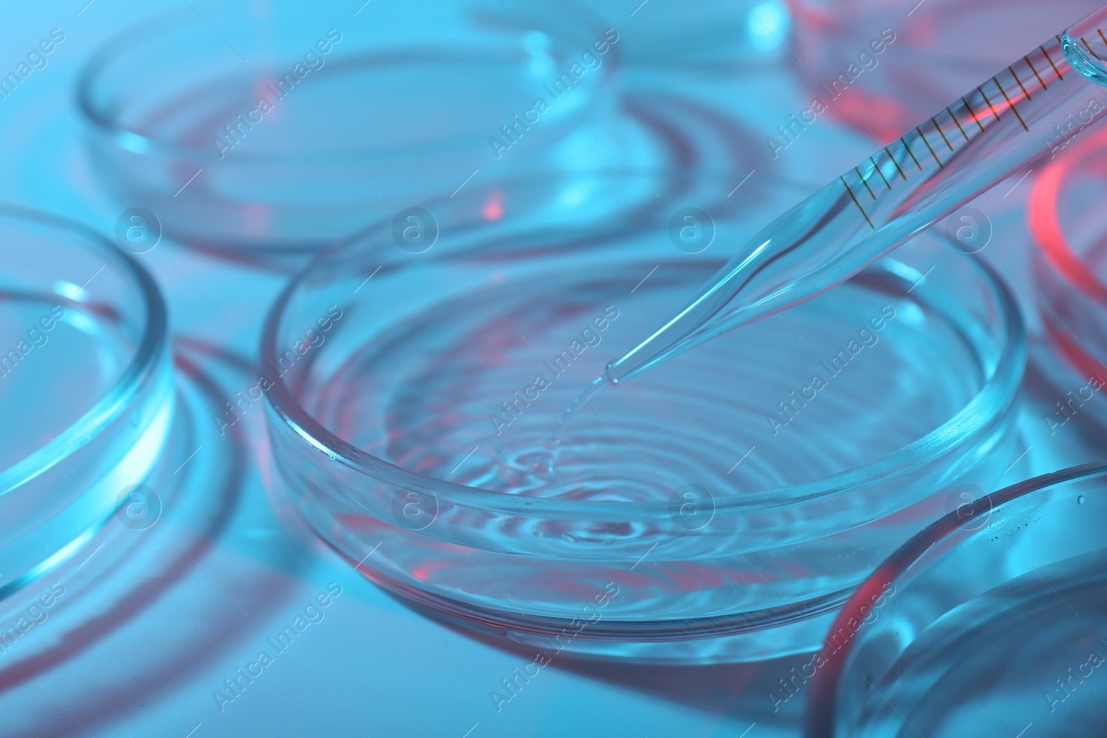 Photo of Dripping liquid from pipette into petri dish on light blue background, closeup