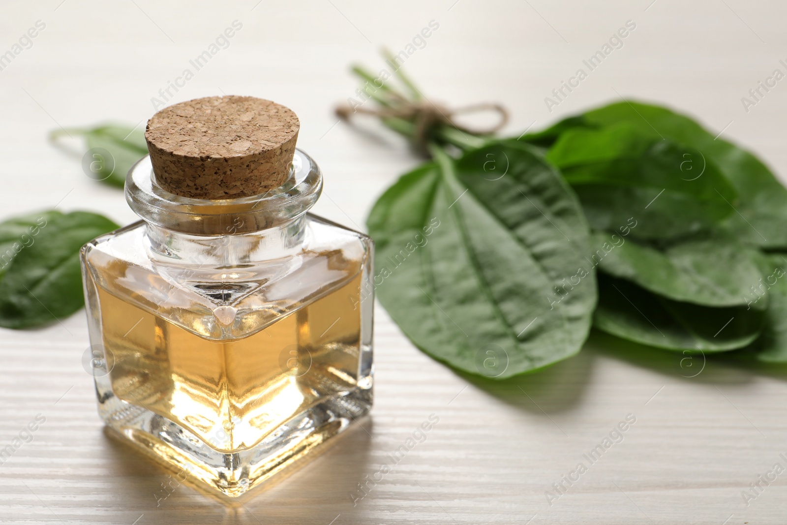 Photo of Essential oil of broadleaf plantain on light wooden table, closeup. Space for text