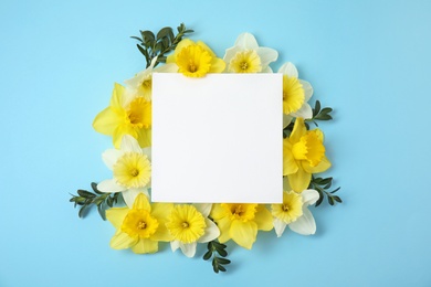 Flat lay composition with daffodils and card on color background, space for text. Fresh spring flowers