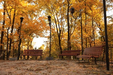 Photo of Beautiful yellowed trees, benches and streetlights in park on sunny day